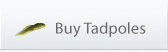 Buy Tadpoles