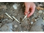 Use real dig tools to find treasure!