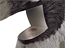 Observe bugs in the anteater's removable belly observation chamber.