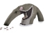 This baby anteater has an appetite for collecting all kind of insects and bugs!