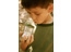 Bug viewer