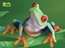 Red-eyed Tree Frog jigsaw puzzle