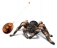 RC Tarantula - Scare your friends and family!