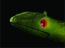 Close the mouth and watch its eyes glow a mysterious red.