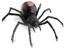 Black Widow
