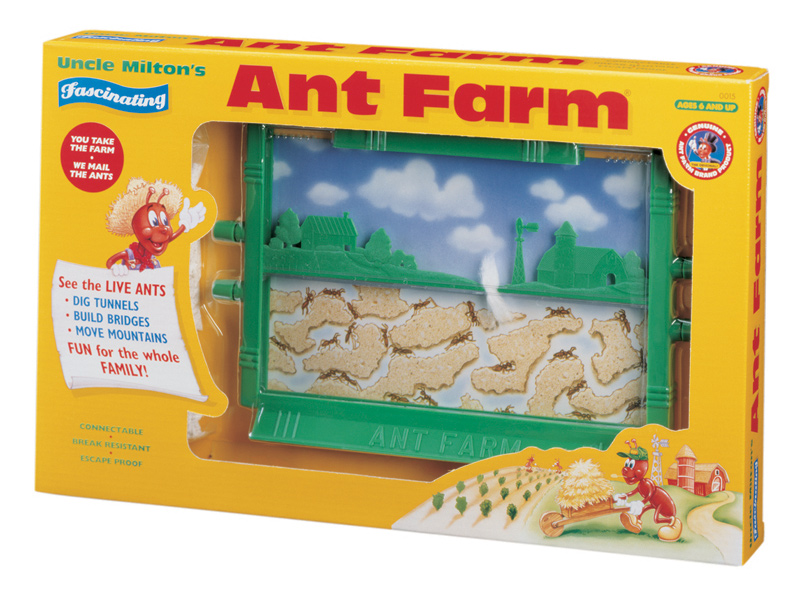 Ant Farm Pics