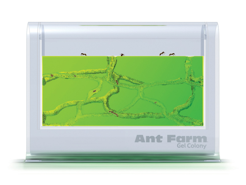 Ant Farm Gel