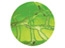 Ants dig 3D tunnels in nutrient rich gel.