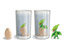 Watch the Dinosaur Train characters hatch from their eggs!