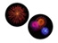 Built-in fireworks images!