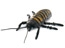 Horrible hissing cockroaches