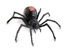 Frightening black widows