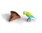 Awesome hook, parrot and pirate hat accessories